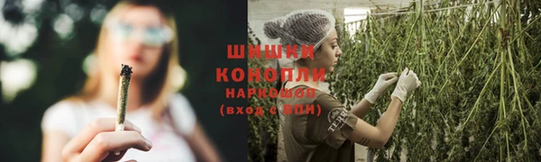 мяу мяу мука Козельск