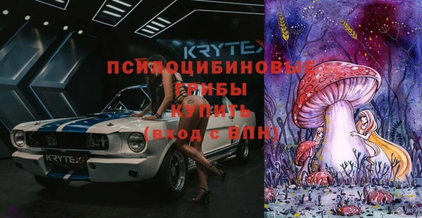 COCAINE Богородицк