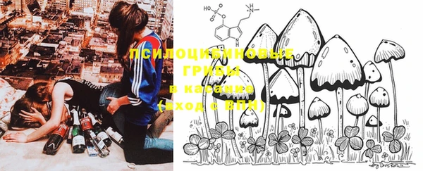 PSILOCYBIN Бородино