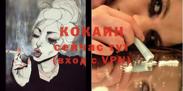 PSILOCYBIN Бородино